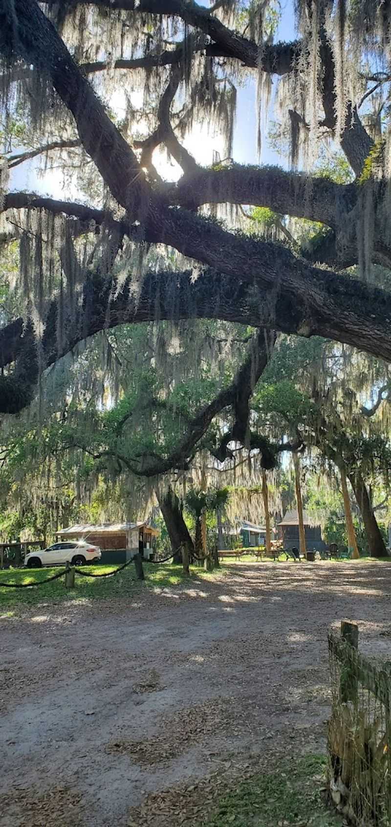 Tucked Away in a Tiny Creekside Town