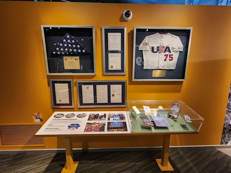 Rare Artifacts From Baseball History