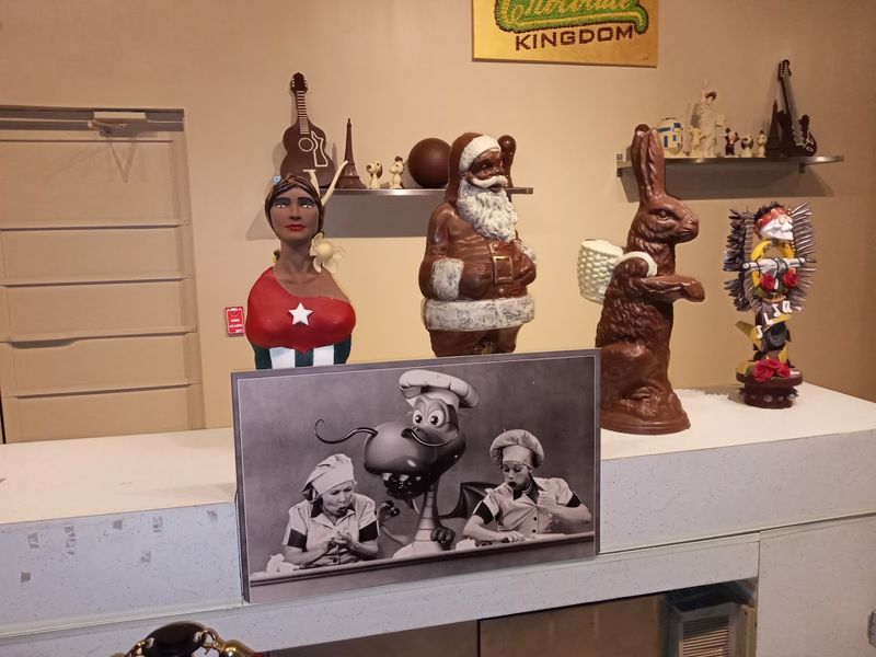 Quick, Affordable, and Memorable Experience