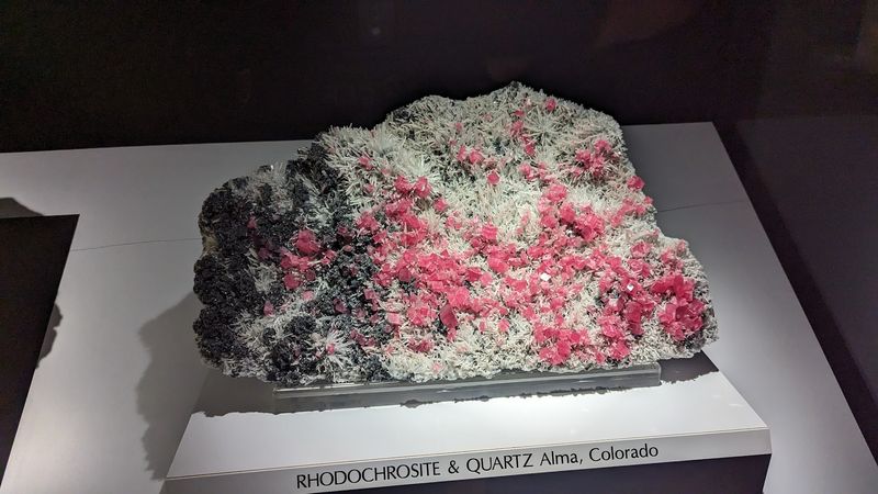 Visitor Impressions and Popularity