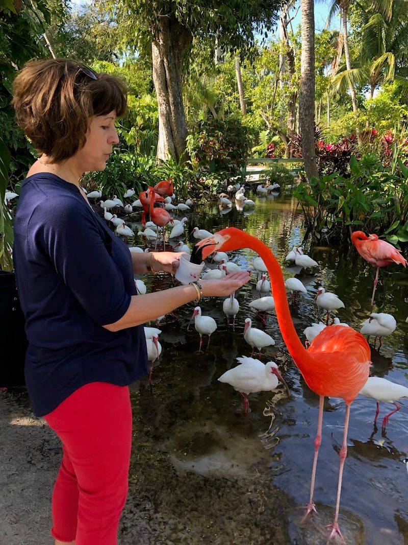 Educational Conservation Programs - Learning About Wildlife Protection