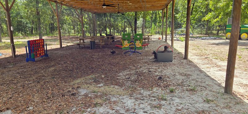 A Kid-Friendly Playtime Atmosphere