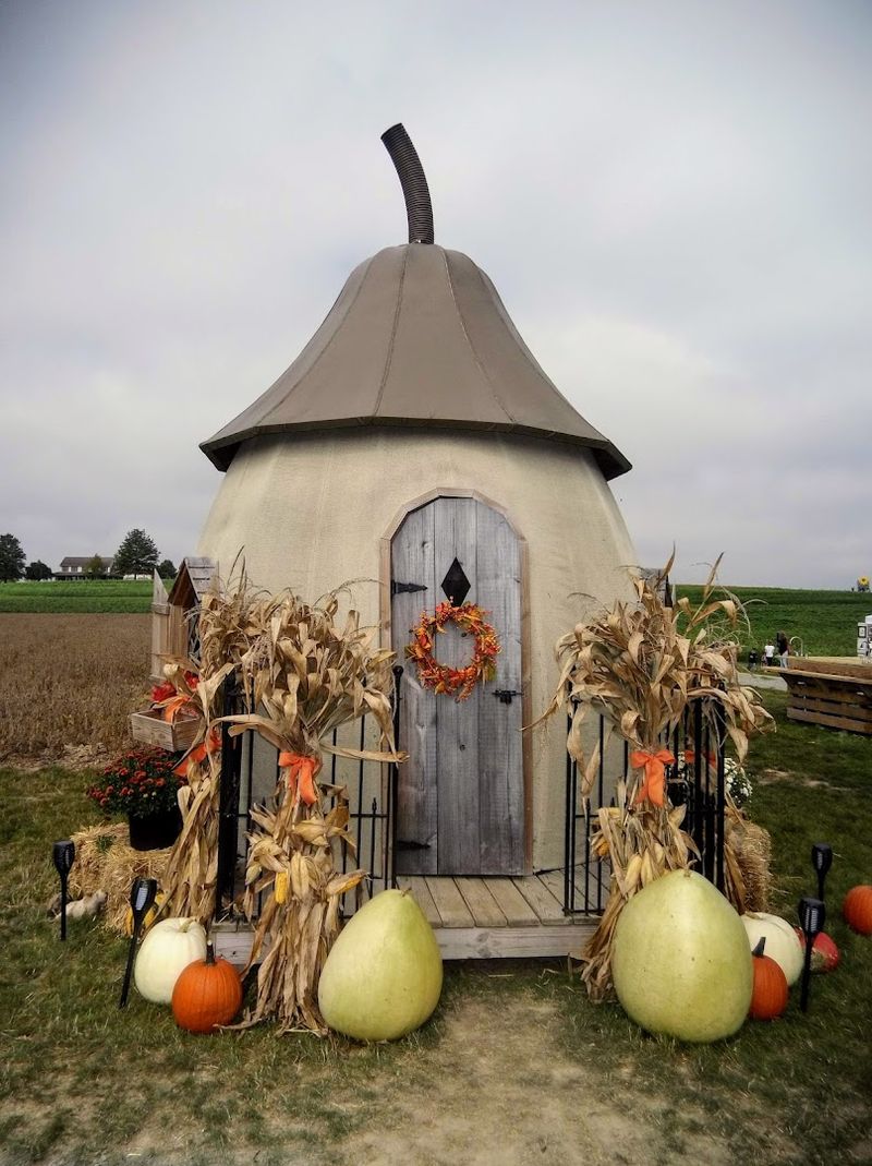 Why 2026 Is a Smart Year to Go