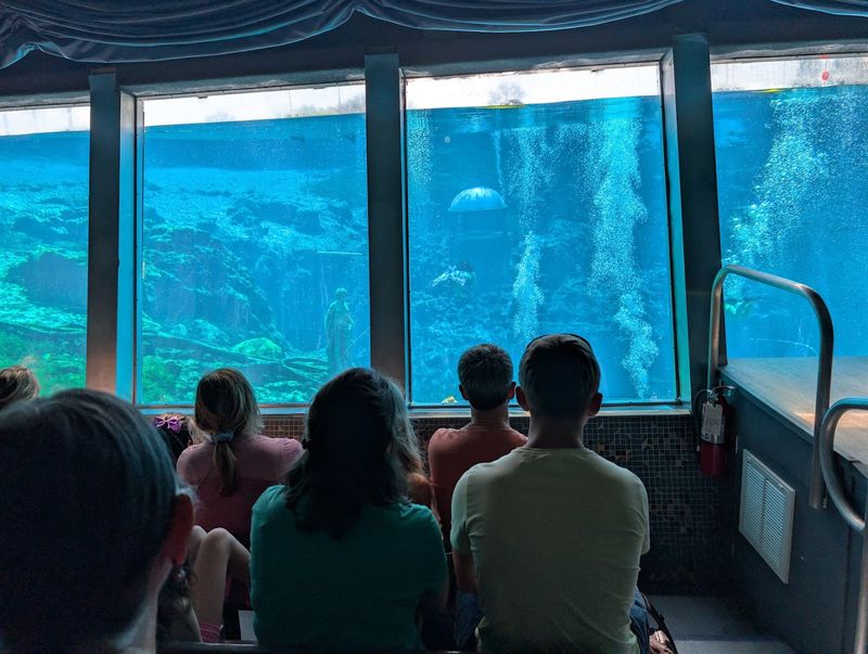 Home Base to Weeki Wachee's Famous Mermaid Shows