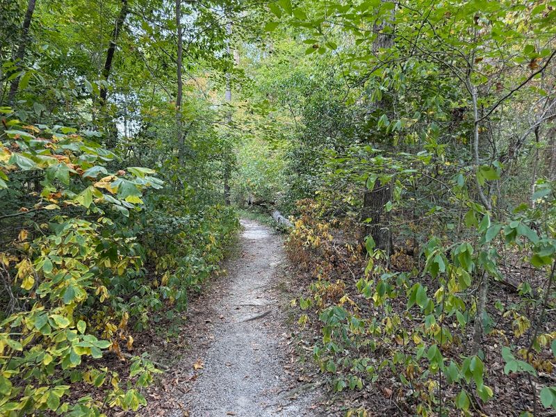 Scenic, Family-Friendly Nature Trails