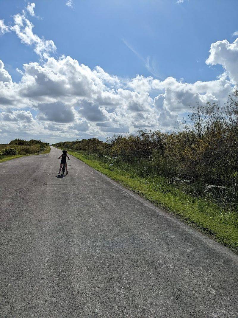 Shark Valley Loop (Everglades)
