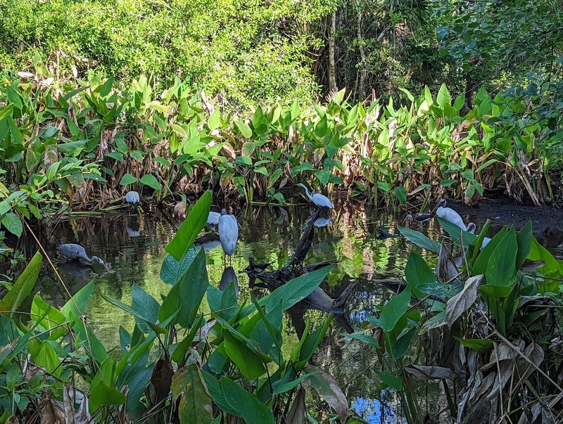 A Fragile Ecosystem Under Threat