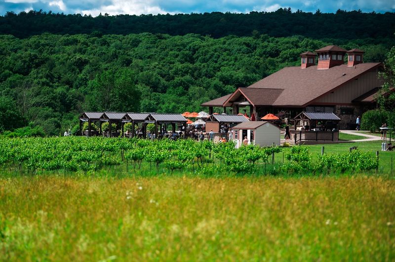 Mountain View Vineyard Restaurant