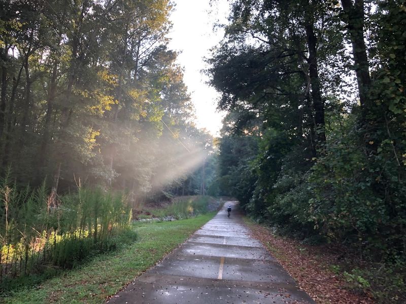 AMP (Arabia Mountain PATH)