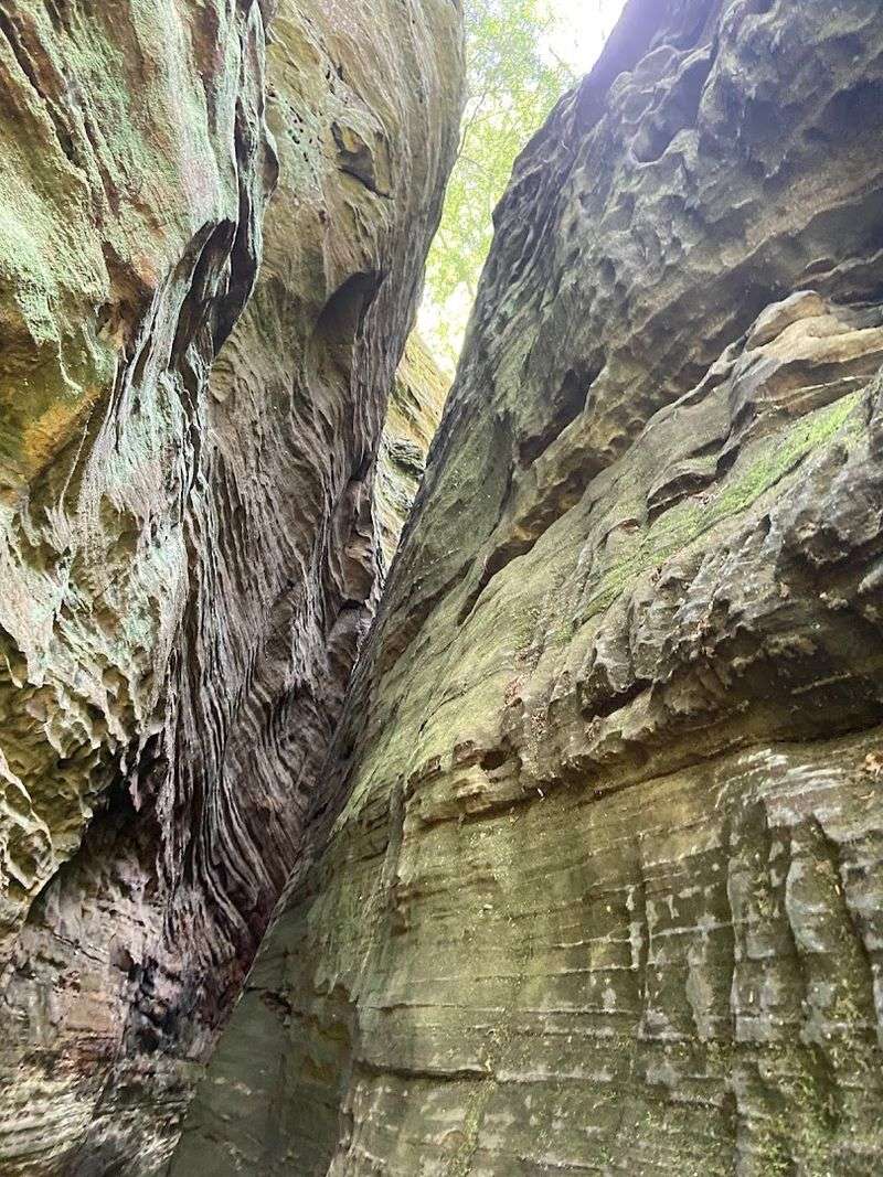 Cantwell Cliffs Loop, Hocking Hills