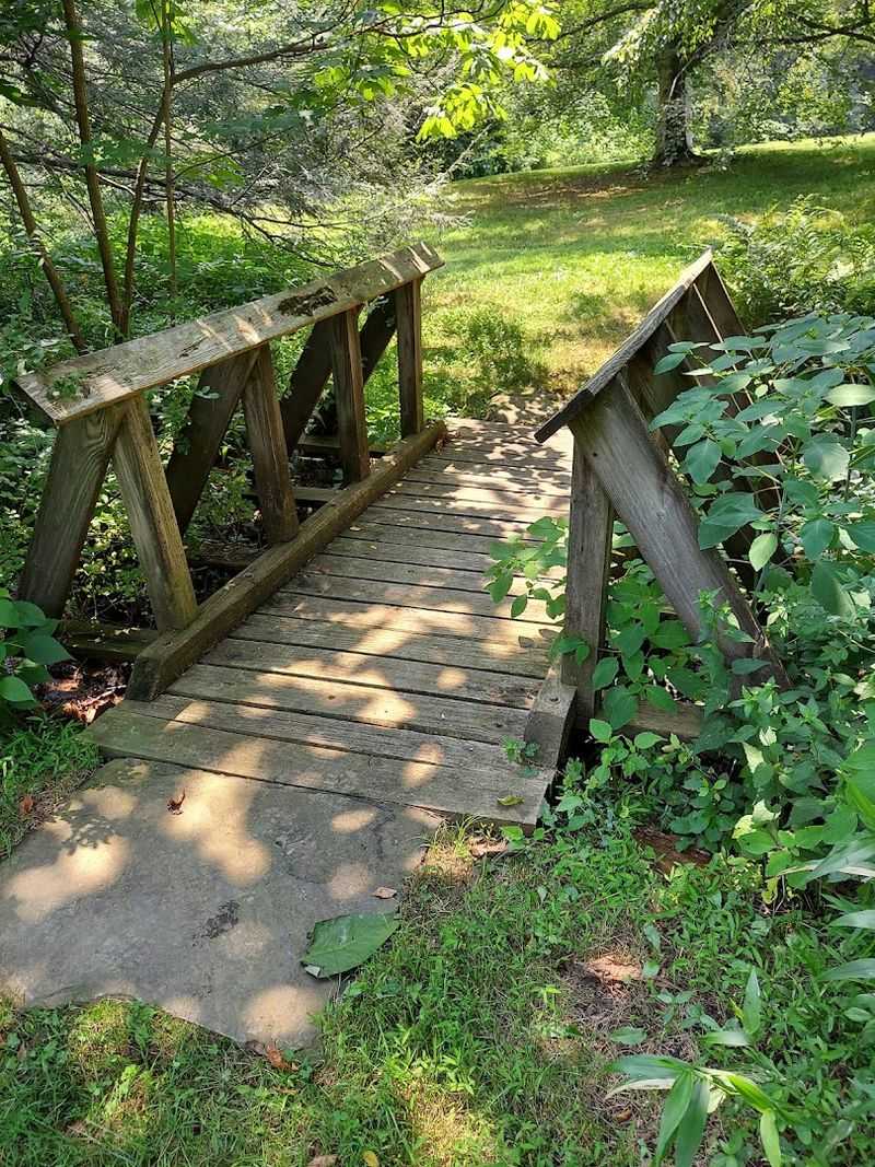 Seventeen Miles of Trails Through Changing Habitats