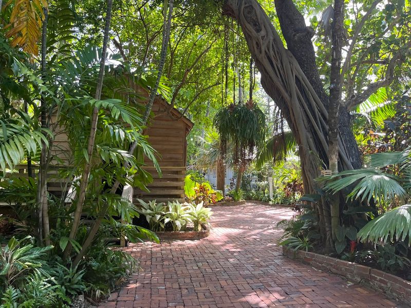 The Lush Tropical Garden Paradise