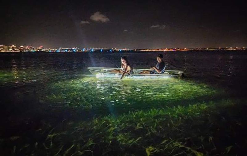 Siesta Key Glass Bottom Clear Kayak Tours - Siesta Key