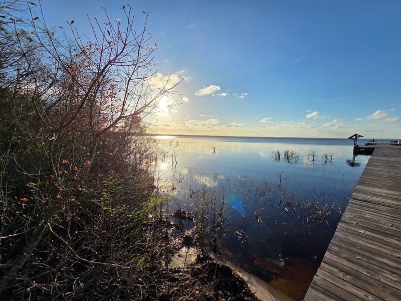 Lake Waccamaw State Park