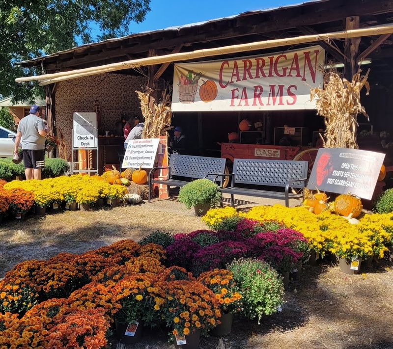 Carrigan Farms (Mooresville)