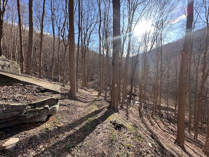 Loyalhanna Creekside Trail