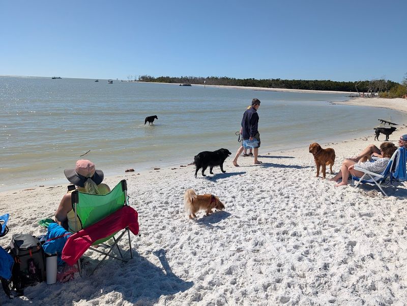 Bonita Beach Dog Beach (Bonita Springs)