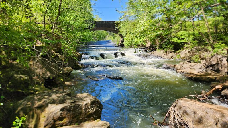 Fishing on Rutledge and Brantley