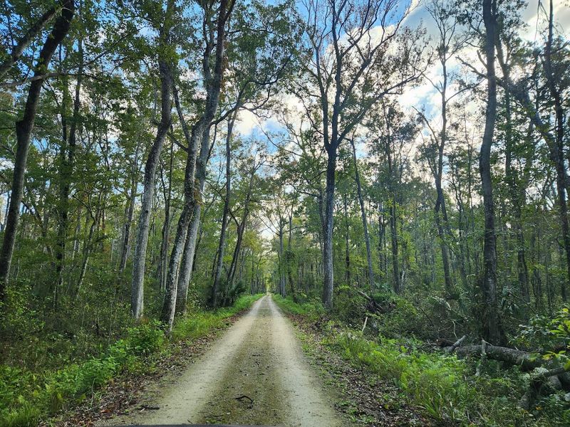Hunting Culture and the Deep Roots of Taylor County Tradition