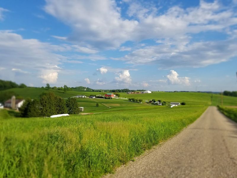 The Farm at Walnut Creek
