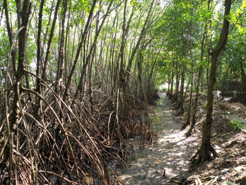 Wildlife Trails: Easy Hikes Through Rare Florida Keys Habitat