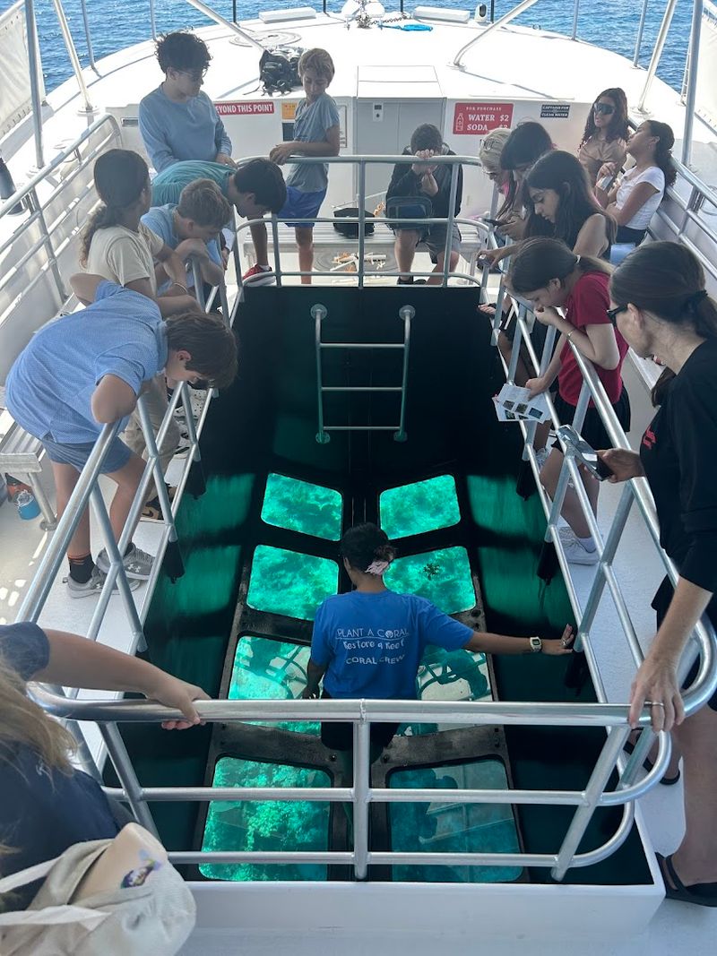 Transparensea Glass Bottom Boat Tours - Islamorada
