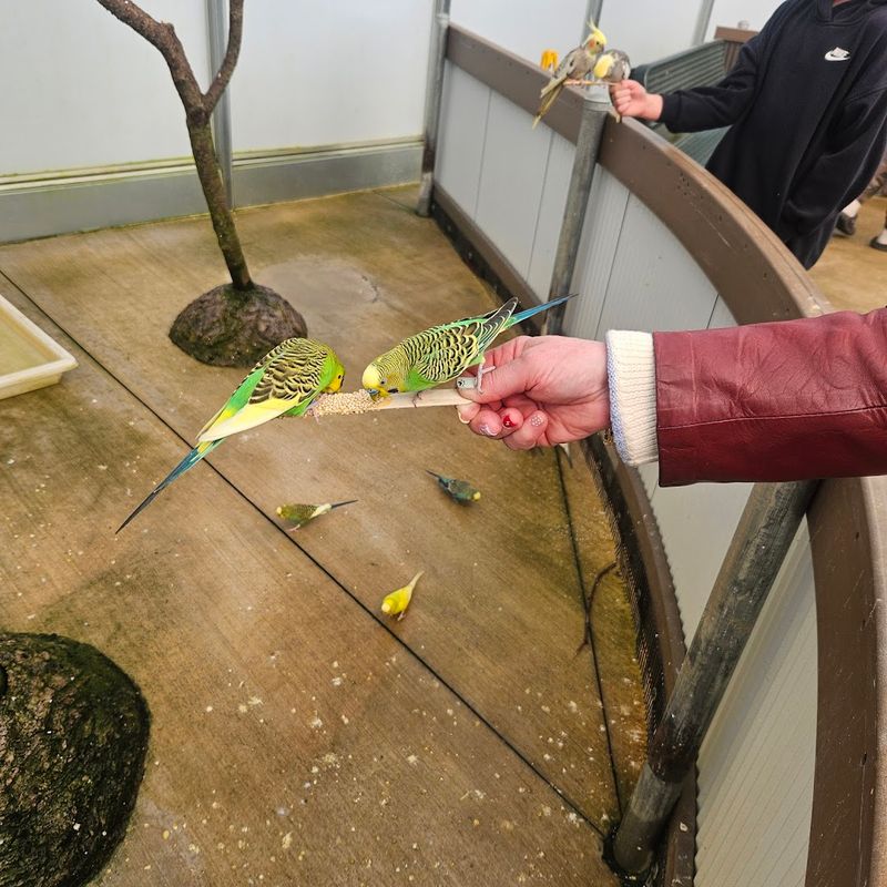 Clyde Peeling's Reptiland (Allenwood, PA)