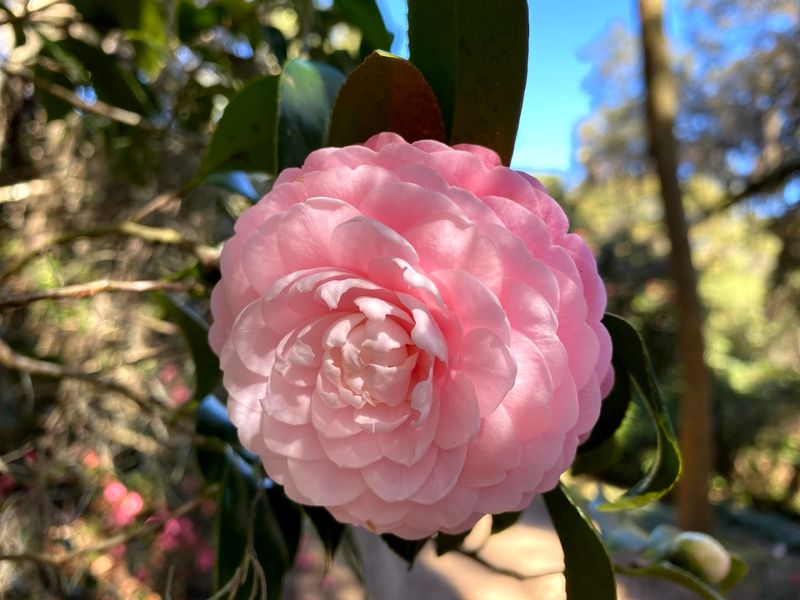 Seasonal Calendar and Best Times