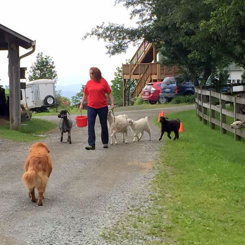 Knowledgeable and Passionate Tour Guides