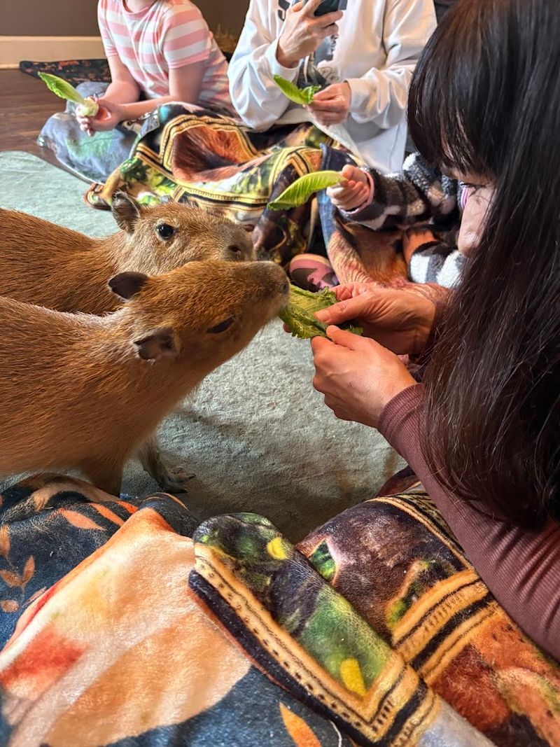 Birthday And Surprise Ideas