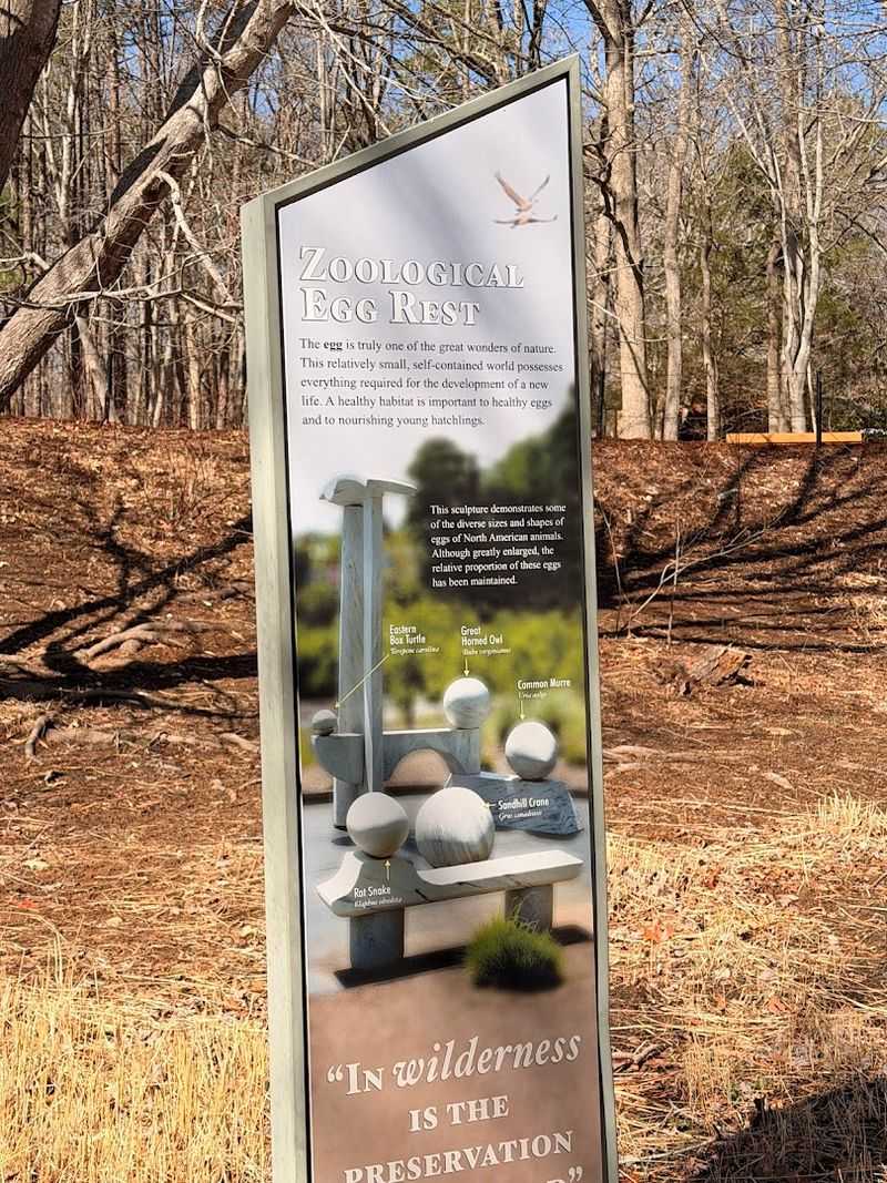 Accessibility And Mobility