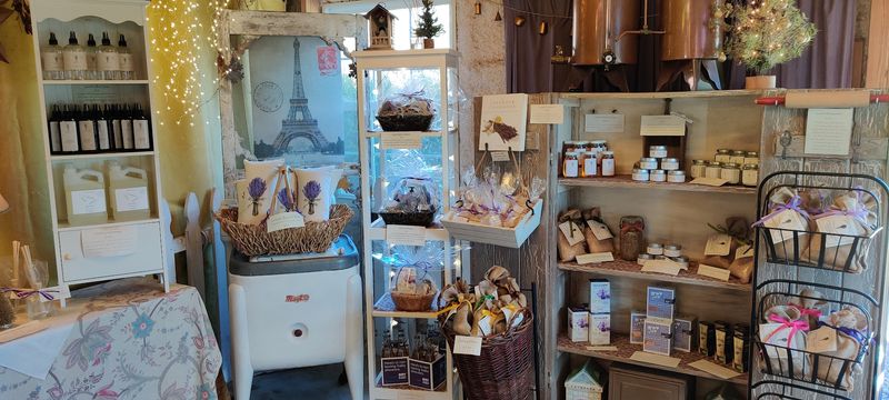 Simple Itinerary for a Calm Day