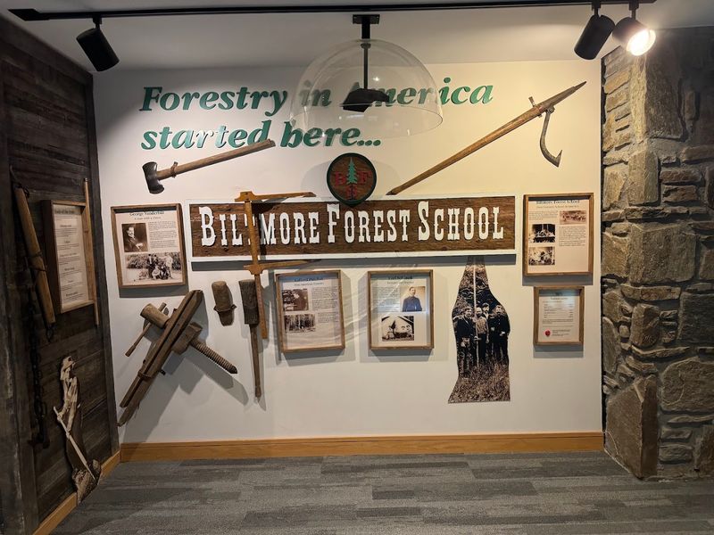 Festival Days Bring Forestry Skills Into Motion