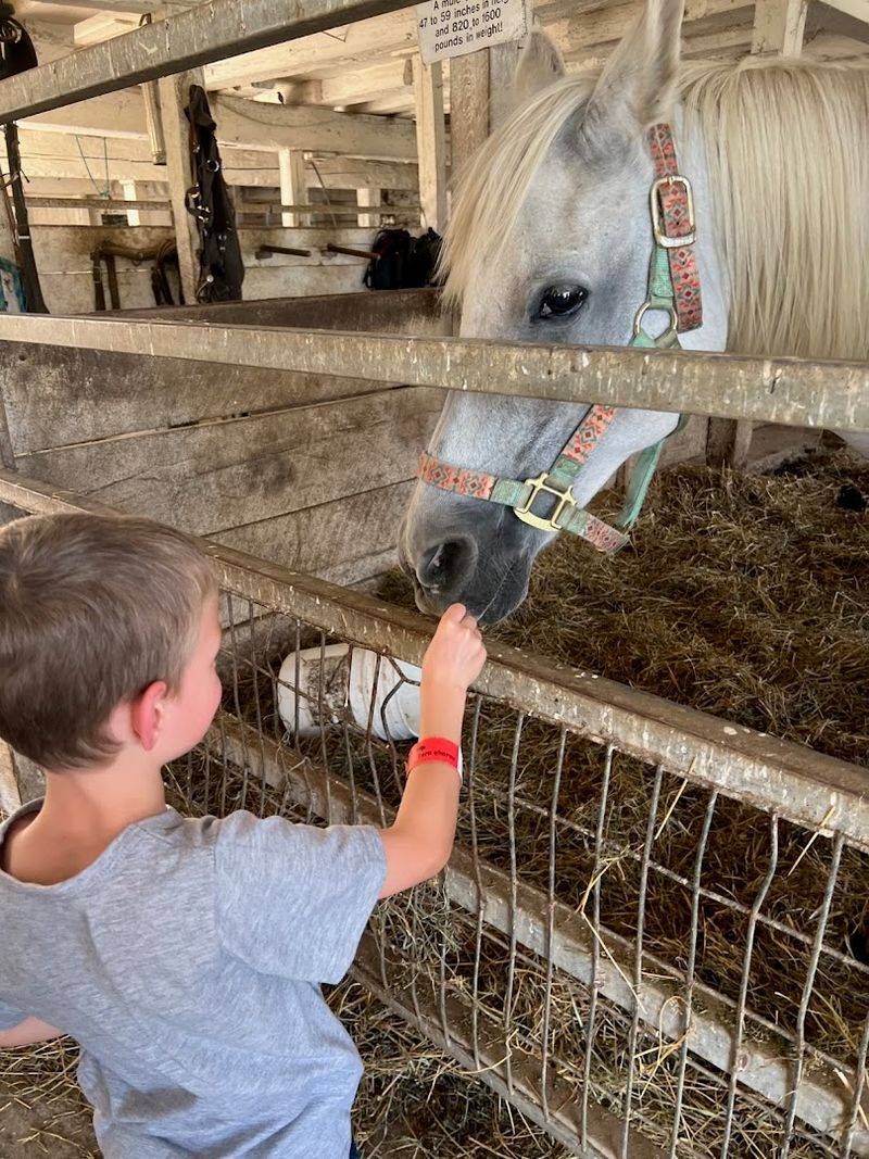 Old Windmill Farm (Ronks, Lancaster County)
