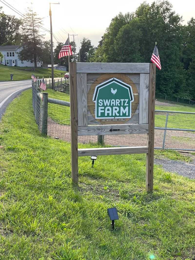 Planning Your Visit: Practical Tips