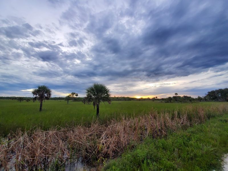 Fakahatchee Strand Preserve State Park (Collier County)