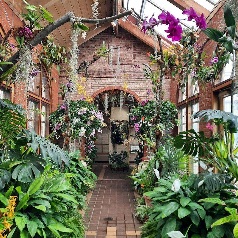 A Tropical Escape Under Glass