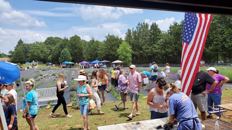 Time Your Visit With Realistic Expectations