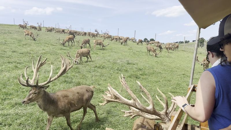 Why Visitors Keep Calling It a Hidden Gem