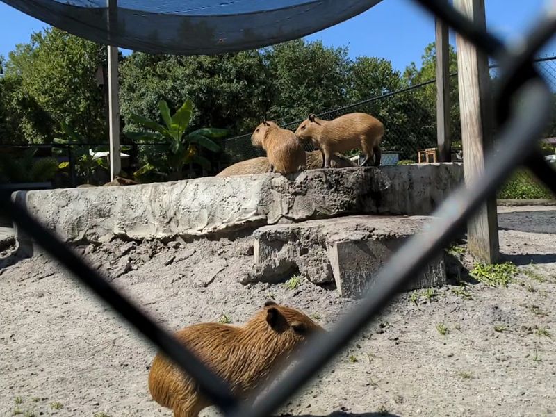 A Clean, Homespun Sanctuary Hidden in Plain Sight