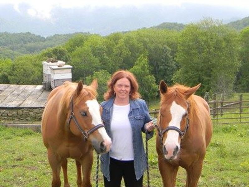 Other Farm Animals: Pigs, Horses, Chickens, and Dogs