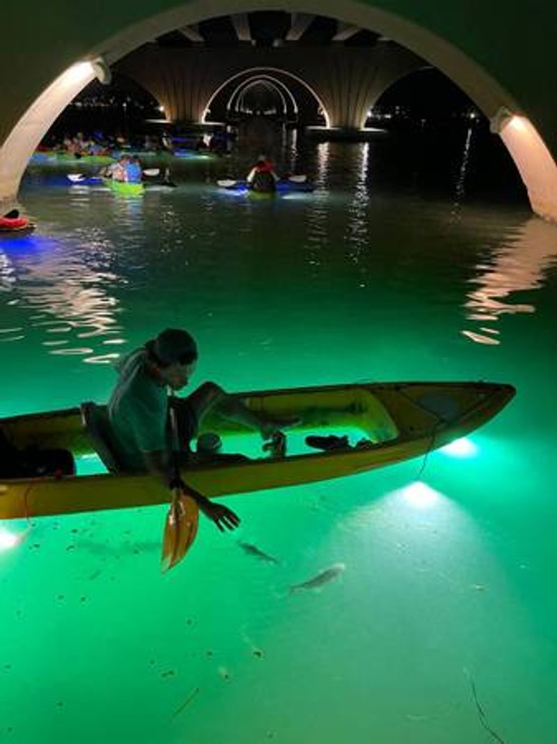 Clear Viewing Panels Built Into the Kayaks