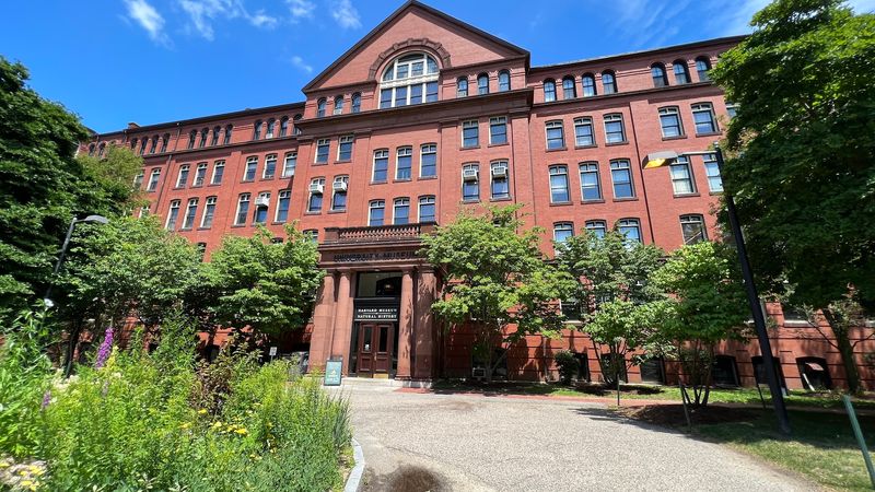 Harvard Museum of Natural History, Cambridge