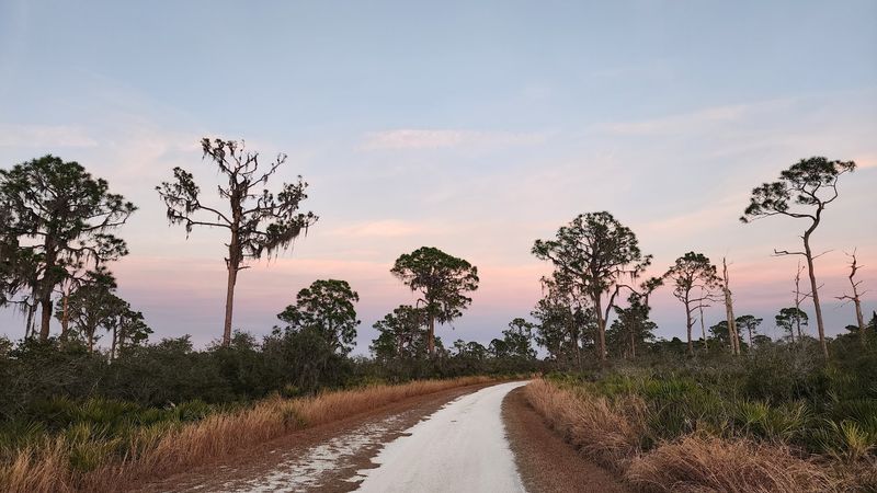 Lake June-in-Winter Scrub Preserve State Park (Lake Placid)