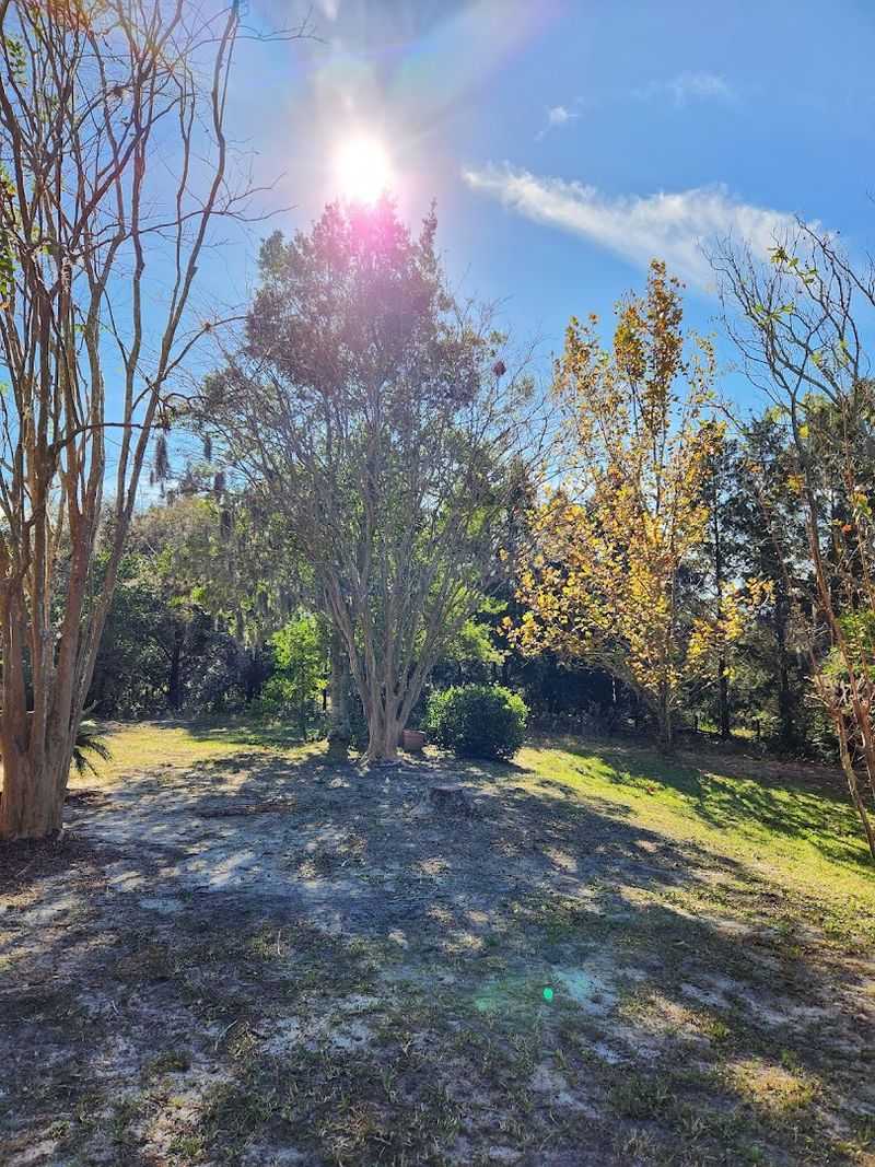 Nearly Year-Round Sunshine