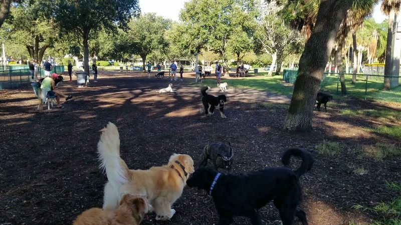 North Bay Trail (St. Petersburg)