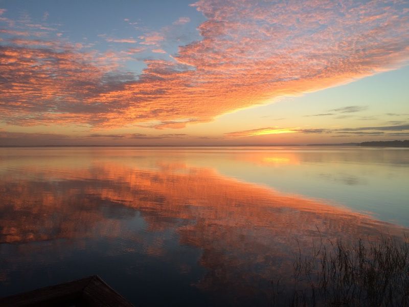 Lake Harris - Leesburg