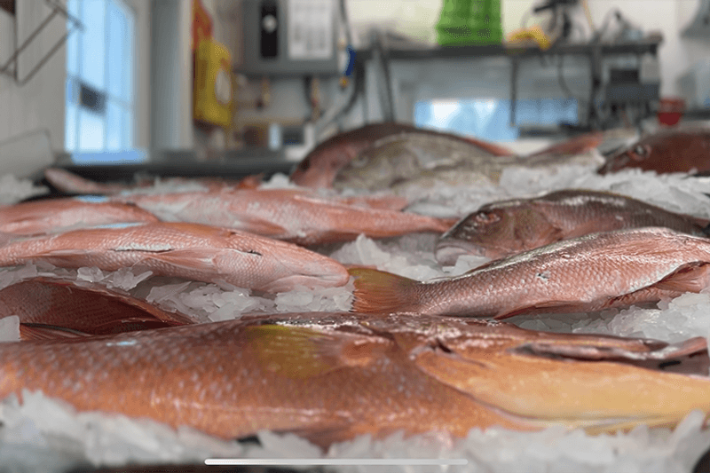 Don’s Dock Seafood Market - Madeira Beach, FL