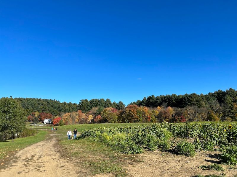 Hanson’s Farm
