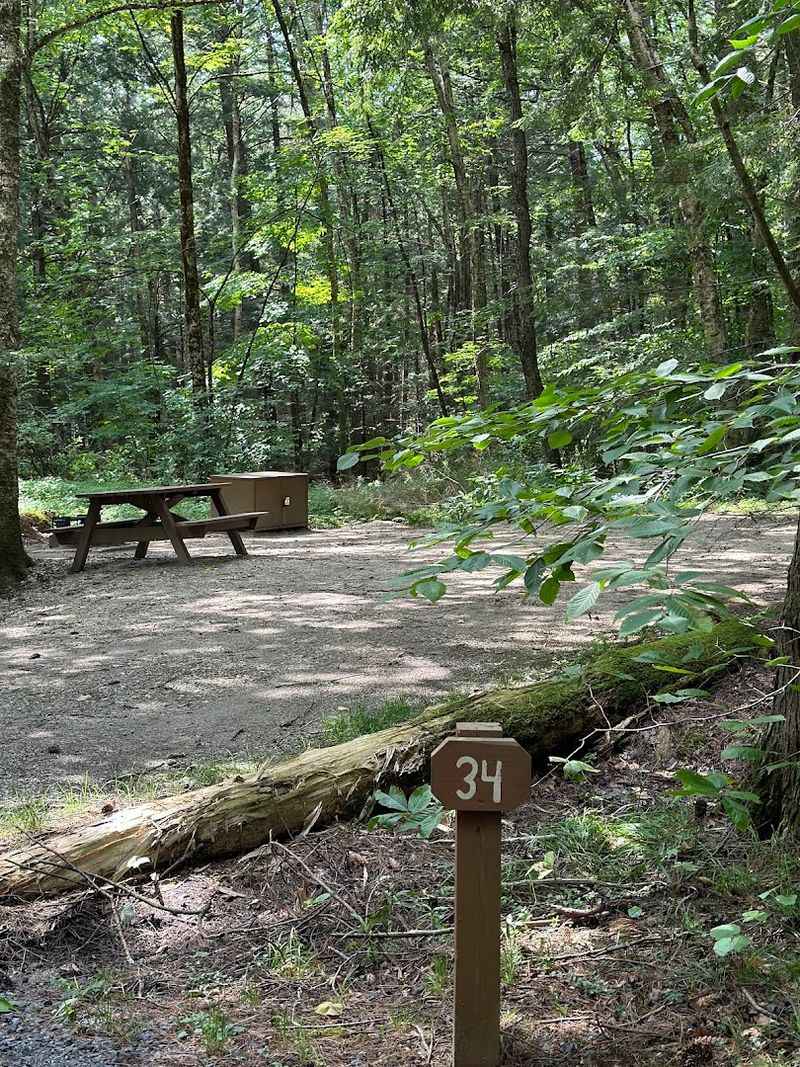 Morning Trails: Quiet Loops and Hilltop Views